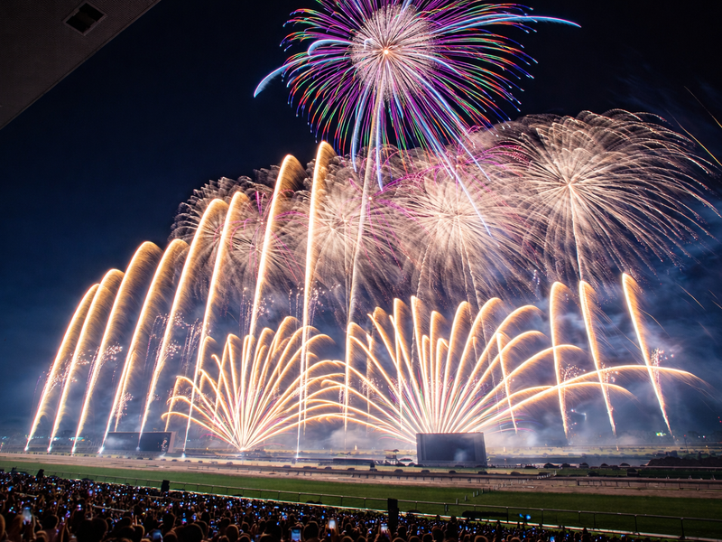 c20d73ae8482ac03b0e36e8d32a82af