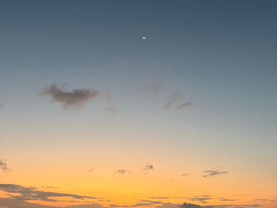 S__134324232_0
