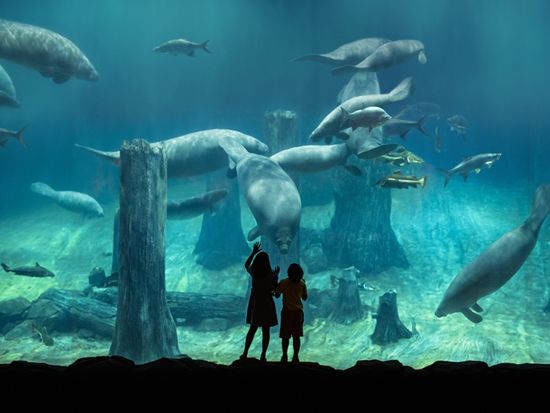 200014739_base_177104280407316