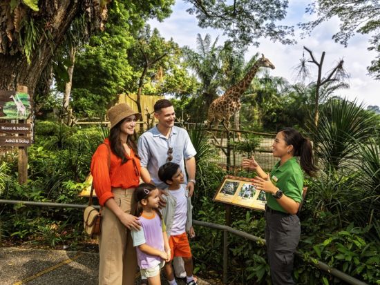 【8月10日＆11日限定】マンダイ・ワイルドライフ・リザーブ1泊2日ツアー　コルゴキャンプ宿泊体験 ＜食事付き／日本語ガイド＞