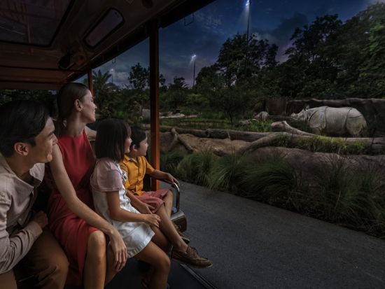 【8月10日＆11日限定】マンダイ・ワイルドライフ・リザーブ1泊2日ツアー　コルゴキャンプ宿泊体験 ＜食事付き／日本語ガイド＞