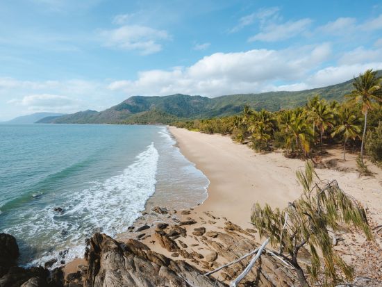 世界遺産デインツリー2泊3日宿泊ツアー　熱帯雨林＋ケープトリビュレーション満喫！癒しのスロートラベル＜英語ガイド／ケアンズ発着＞
