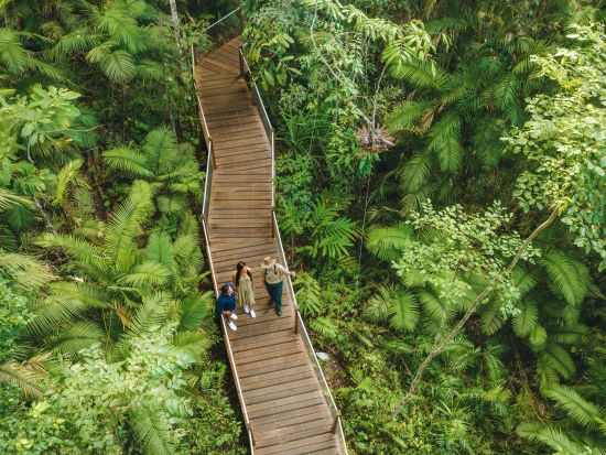 世界遺産デインツリー2泊3日宿泊ツアー　熱帯雨林＋ケープトリビュレーション満喫！癒しのスロートラベル＜英語ガイド／ケアンズ発着＞