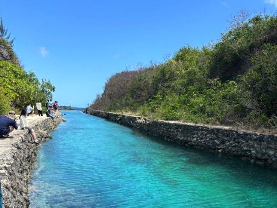 アガット湾イルカウォッチングクルーズ　エメラルドバレー観光＆シュノーケリング体験 ＜食事付き／日本語ガイド＞