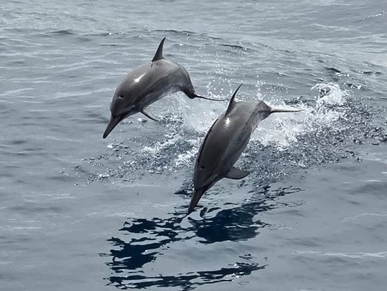 WhatsApp Image 2025-12-25 at 12.01.34 (1)