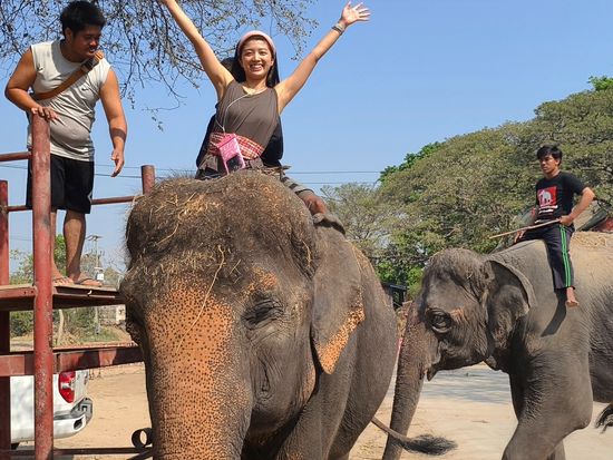 象のお世話体験4