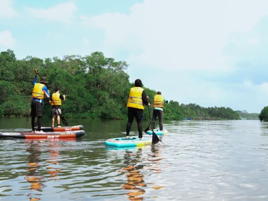バリ島の大自然満喫！マングローブの森でSUP（スタンドアップパドル）体験＜バリ発／日本語ガイド／送迎付き＞by JTB