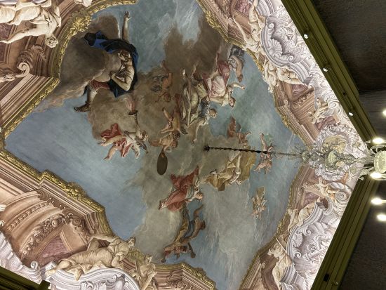 ヴェネチアの下町ドルソドゥーロ地区散策と18世紀文化史博物館カ・レッツォーニコ見学＜混載／2時間／日本語ガイド＞