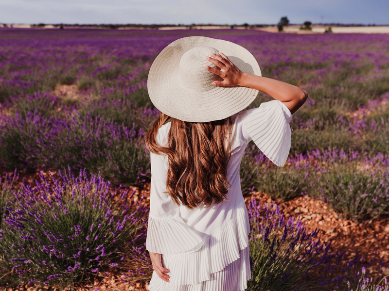 Autopia - Girl in Lavender Fields Western Australia