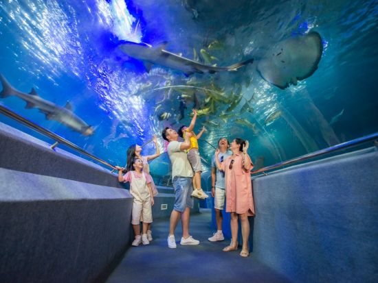 ヴィンワンダーズ・ニャチャン「VinWonders Nha Trang」入場チケット事前予約サービス　＊即予約確定