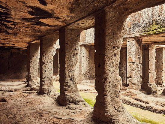 インド・グジャラート州 5泊6日ツアー　ライオン・サファリ付き ＜食事付き／日本語ガイド＞