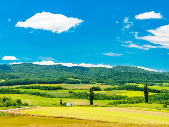 貸切観光タクシー 空いた時間にサクッと丘めぐり 美瑛ショートコース＜3時間／1～9名／旭川市内・旭川空港送迎可＞by 嵐山タクシー