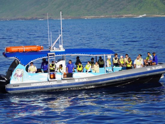 イルカ中学　野生のイルカ＆ウミガメシュノーケリングクルーズ　高速ボートでイルカ遭遇率アップ！＜少人数制／ワイキキ＆コオリナ送迎可／日本語／ランチ付き＞