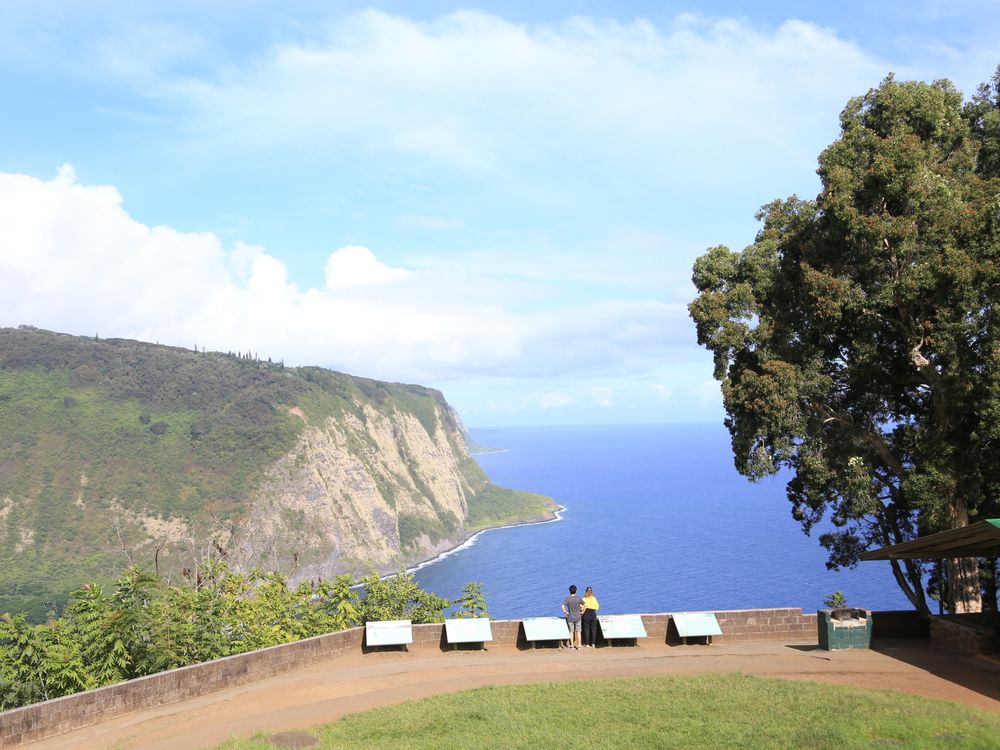 写真 2019-09-19 9 25 34