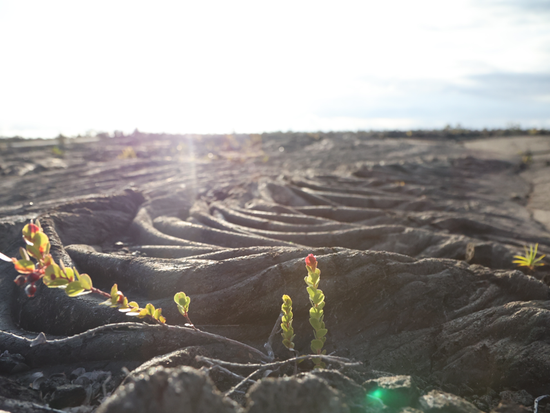 スクリーンショット 2026-03-26 160053