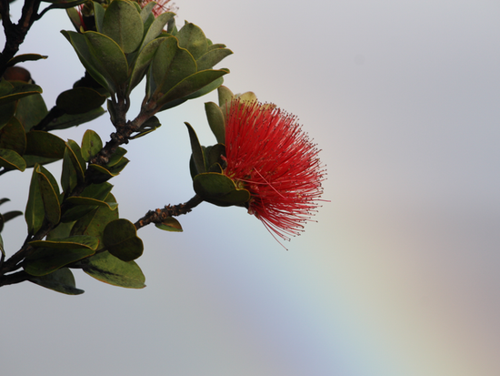 スクリーンショット 2026-03-26 160029