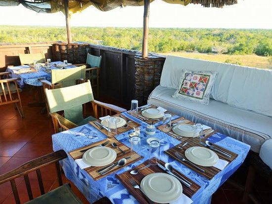 動物がすぐそこに！サーダニ国立公園近くのBABS' CAMPに泊まる2泊3日【ザンジバル発着 / ボート送迎/ 宿泊 2泊 / ゲームサファリ / 全食事付き】の写真3