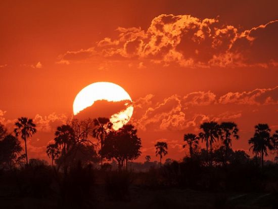 野生動物の楽園 世界遺産オカバンコ・デルタ 3日間【ヨハネスブルグ発着 / 航空券＋チャーター便＋サファリキャンプ2泊＋食事＋アクティビティー 】