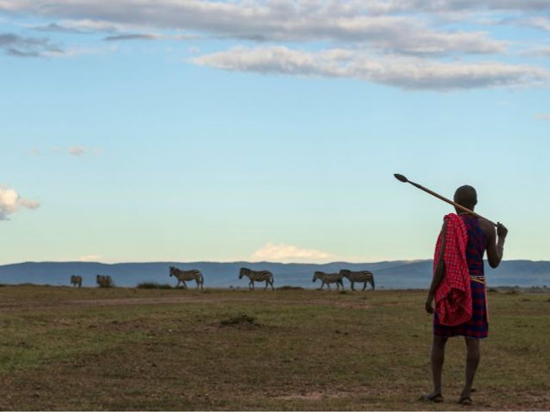 8310 (3)Shutterstock