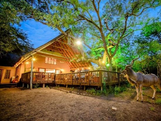 【ヨハネスブルグ発着 5泊6日】ニードルズサファリロッジ宿泊！クルーガー国立公園ビッグファイブサファリ＜国内線＋空港送迎＋宿（4スター）＋アクティビティ＞