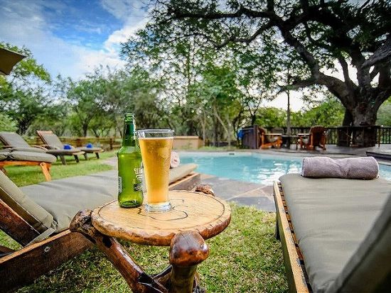 【ヨハネスブルグ発着 5泊6日】ニードルズサファリロッジ宿泊！クルーガー国立公園ビッグファイブサファリ＜国内線＋空港送迎＋宿（4スター）＋アクティビティ＞