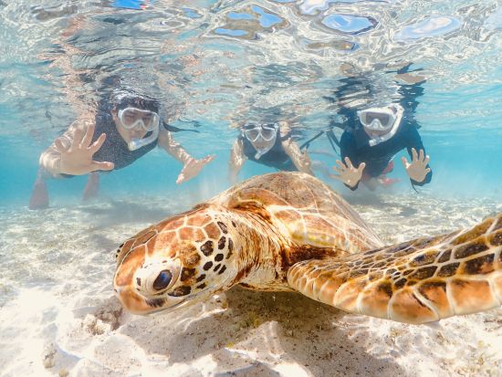 宮古島シュノーケル【当日予約OK・写真無料】学生＆ファミリー春休み・GW大歓迎！