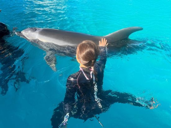 タクシー送迎付き「ドルフィンスイム」でイルカと触れ合い体験＜3時間／奈半利駅発着＞