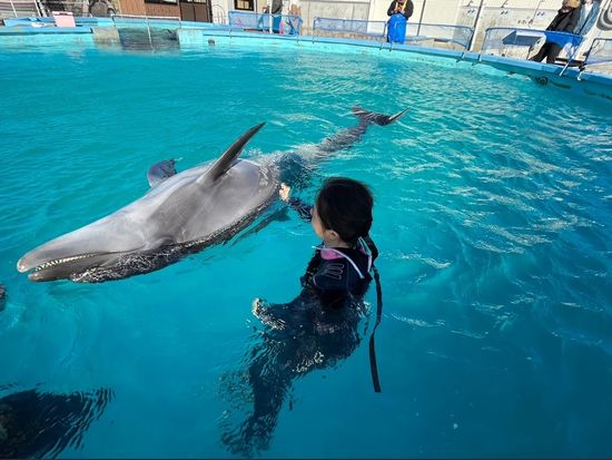 ドルフィンスイム2