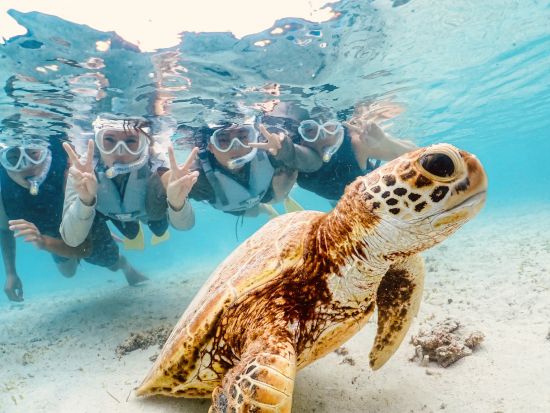 【宮古島｜ウミガメシュノーケル】★春のセール★ 《当日予約OK／写真データ無料》高評価！安心の少人数制！プロガイドがサポート！