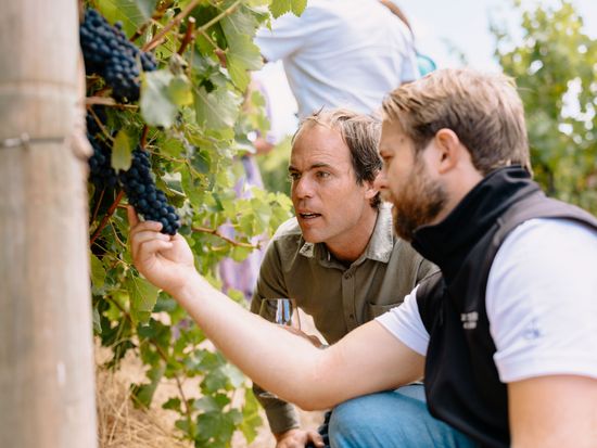 Margaret River Escape - Exploring vineyards 1