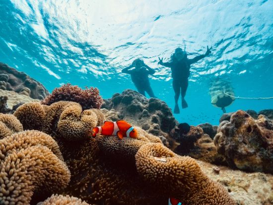 【宮古島｜ウミガメシュノーケル】★春のセール★ 《当日予約OK／写真データ無料》高評価！安心の少人数制！プロガイドがサポート！