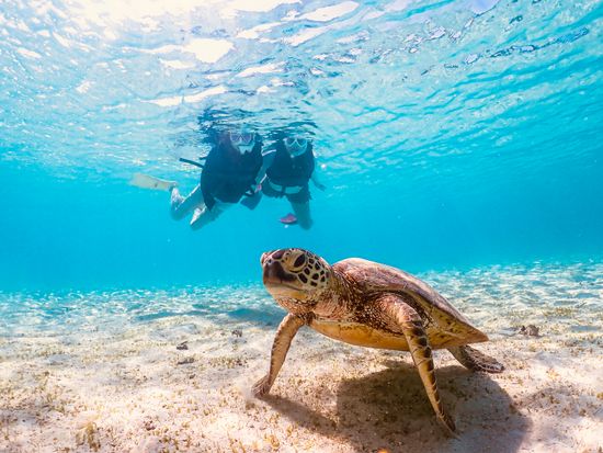 宮古島【GWセール】ウミガメシュノーケル｜手ぶら！当日予約！写真・動画データ無料プレゼント《ファミリー・学生・カップル大人気》の写真2