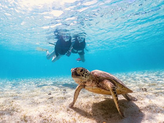 宮古島【GWセール】ウミガメシュノーケル｜手ぶら！当日予約！写真・動画データ無料プレゼント《ファミリー・学生・カップル大人気》