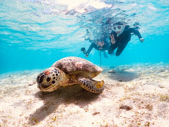 宮古島【GWセール】ウミガメシュノーケル｜手ぶら！当日予約！写真・動画データ無料プレゼント《ファミリー・学生・カップル大人気》の写真3