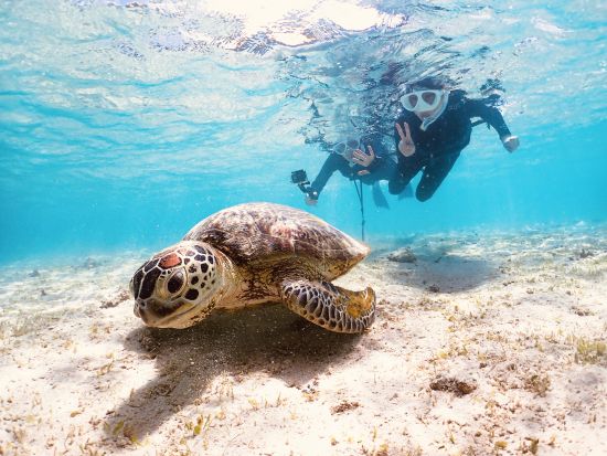 宮古島【GWセール】ウミガメシュノーケル｜手ぶら！当日予約！写真・動画データ無料プレゼント《ファミリー・学生・カップル大人気》