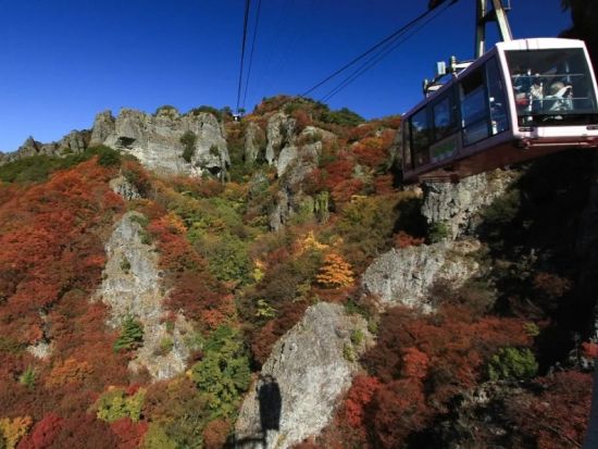 小豆島日帰りバスツアー 寒霞渓ロープウェイ＋オリーブ公園＋醤の郷＜英語ガイド／高松駅発＞