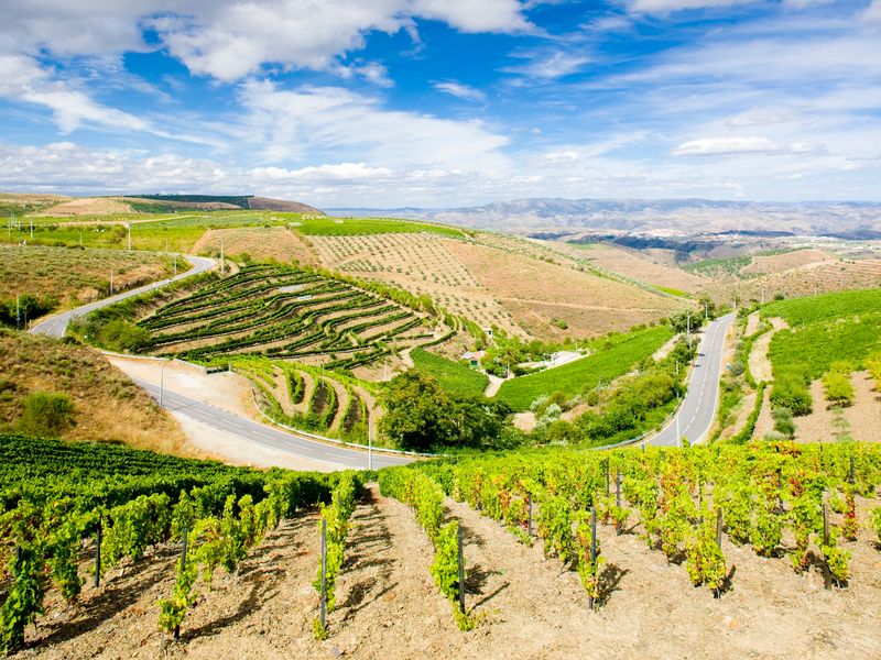 Portugal_Douro Valley_pixta_23373347_M