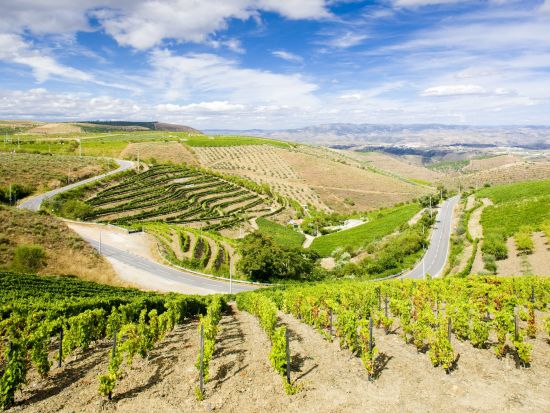 【8～9月限定】ポルトガル縦断2日間！6つのかわいい街歩き＋世界遺産ドウロ渓谷クルーズ＆名門ワイナリー訪問 ＜混載／日本語ガイド／リスボン発＞ by [みゅう]