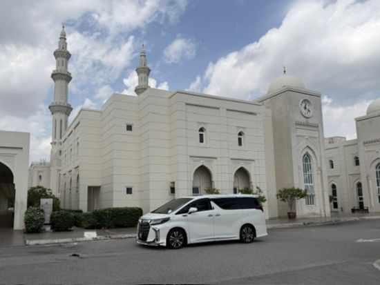 モスク＆街歩き観光ツアー　ピンクモスク＋白モスク＋ストリートアート巡り 映えスポット満載！＜貸切／半日／クアラルンプール発＞