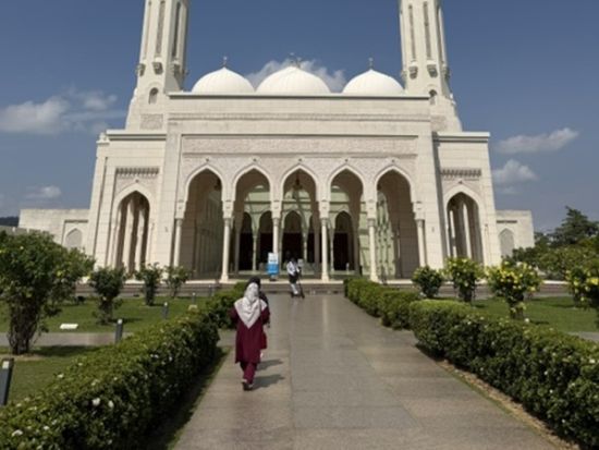 モスク＆街歩き観光ツアー　ピンクモスク＋白モスク＋ストリートアート巡り 映えスポット満載！＜貸切／半日／クアラルンプール発＞