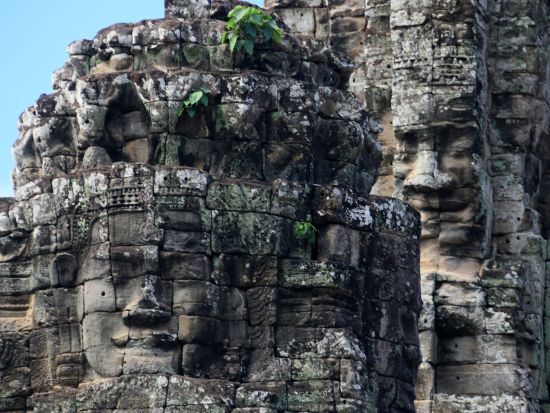 お手軽に満喫！アンコールワット半日貸切観光 お子様連れ歓迎！＜選べる午前/朝日鑑賞OR午後/夕日鑑賞 ／1～9名／１台料金／人気店でのお食事オプションあり＞