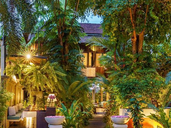 550514833_1360782986049512_2542593645961697934_n