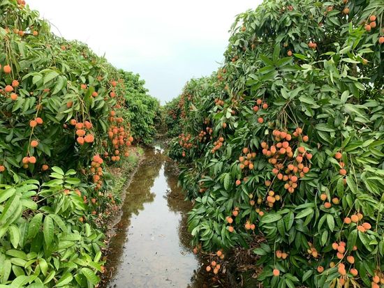 647399493_3148215322045706_4327093357730857615_n