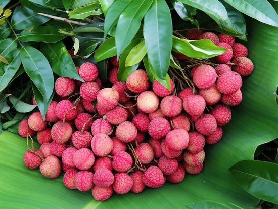 651261428_4375769392711710_7628679574685636122_n