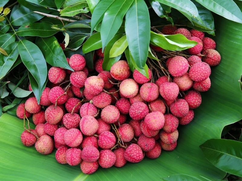 651261428_4375769392711710_7628679574685636122_n