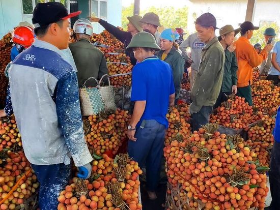 650812304_915634331188299_6109411480722825202_n