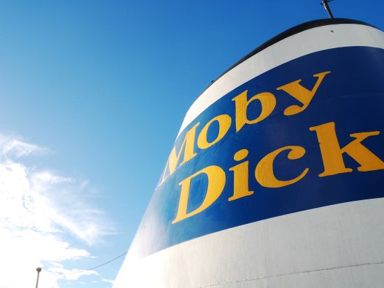 クルーズ乗船プラン 東シナ海に沈む夕日と幻想的な景色を満喫！食事なしで自由に楽しむカジュアル船上体験 ＜ワンドリンク付き／那覇埠頭発＞