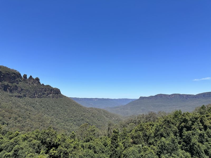 ブルーマウンテンズ１ (1) (1)