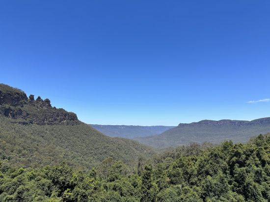 世界遺産ブルーマウンテンズ1日観光ツアー　動物園＋シーニックワールドチケット込み！エコーポイント、ルーラなど人気観光地を巡る！＜日本語ガイド／選べるプランあり＞