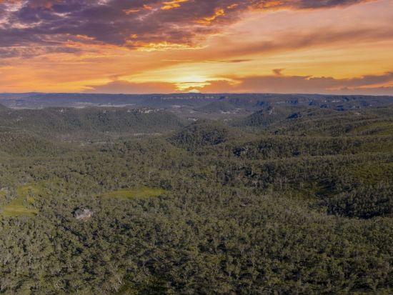 IEC エコツアー 世界遺産ブルーマウンテンズ　絶景サンセットを貸切で満喫！＜貸切／日本語ガイド＞